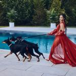artist image Cardi B Drip ft. Migos Invasion of Privacy