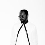 artist image RiO Hot Wings (I Wanna Party) 