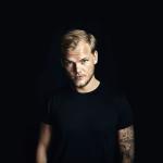 artist image Avici Levels (Skrillex Remix) Guitar Cover Levels (Remixes) - Single