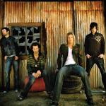 artist image Puddle Of Mudd Spin You Around Life On Display (UK / Japan Version)