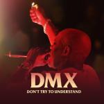 album image Здорова бандиты! (Get it on the floor минус) DMX: Don't Try to Understand - EP