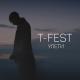 TFast - Улетели
