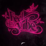 album image Nti Sbabi Feel the Vibe (Remixes) - Single