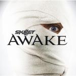 album image Hero Awake