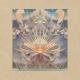 Junip - Turn to the Assassin