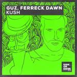 album image Kush (Original Mix) Kush - Single