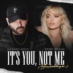 album image It’s You, Not Me (Sabotage) It’s You, Not Me (Sabotage) - Single