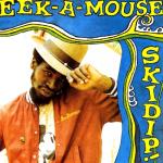 album image Freddy McGregor-Rudie Top minus Skidip