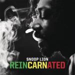 album image Smoke The Weed (feat. Collie Buddz) Reincarnated (Deluxe Version)