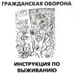 poster Авганский синдром ИНСТРУКЦИЯ ПО ВЫЖИВАНИЮ