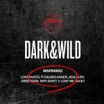 poster Interlude: What Are You Doing Now Dark & Wild